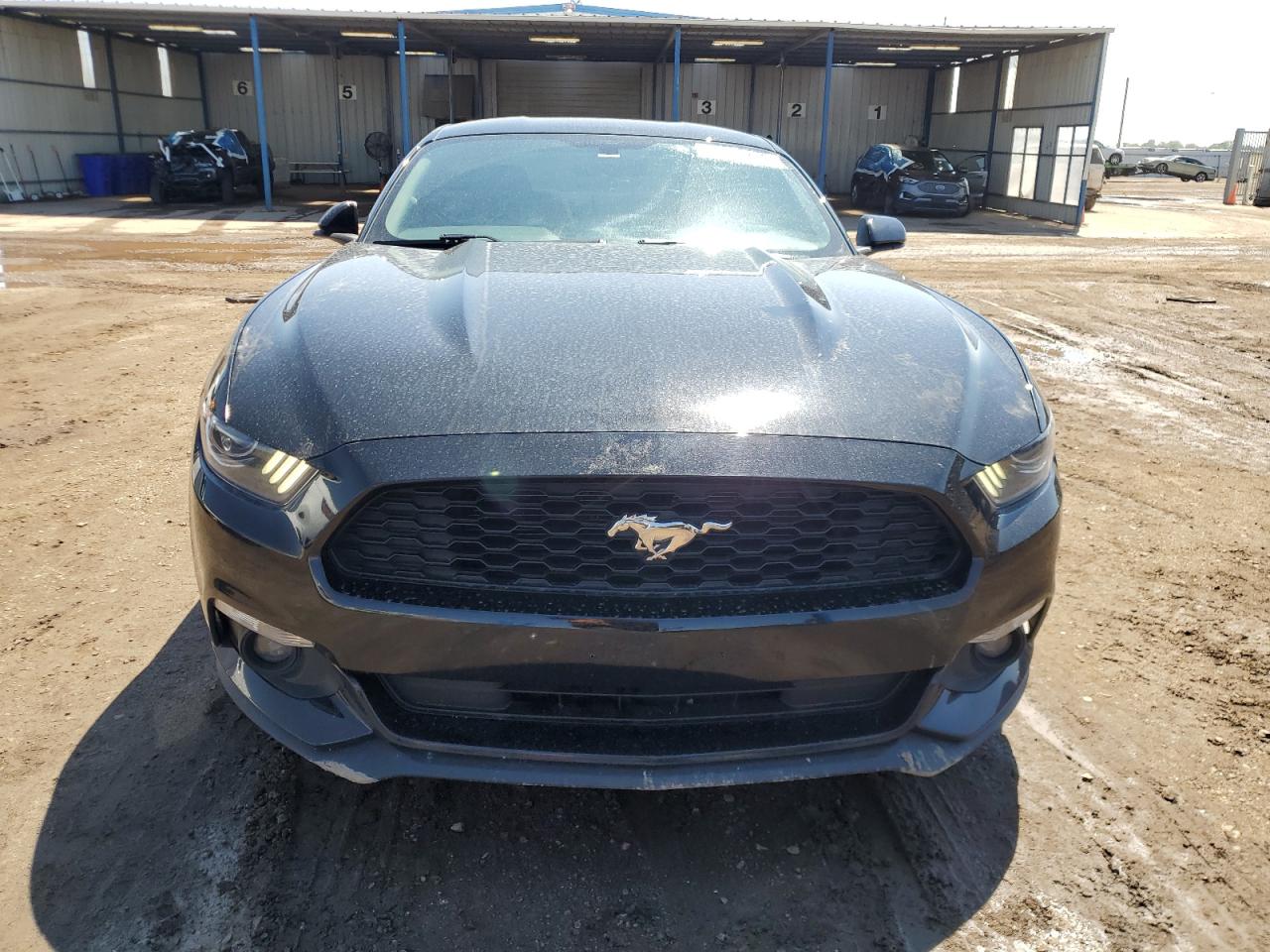 Ford Mustang Image 12