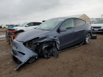  Salvage Tesla Model Y
