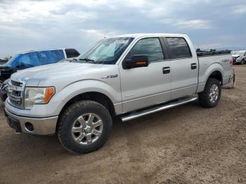  Salvage Ford F-150