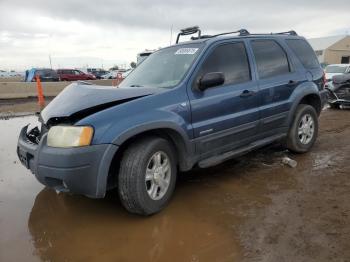  Salvage Ford Escape