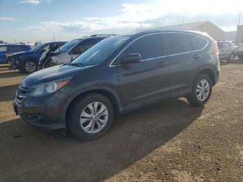  Salvage Honda Crv