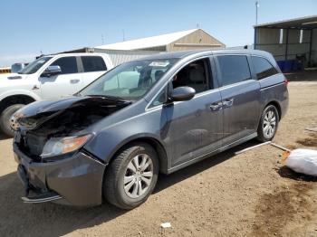  Salvage Honda Odyssey