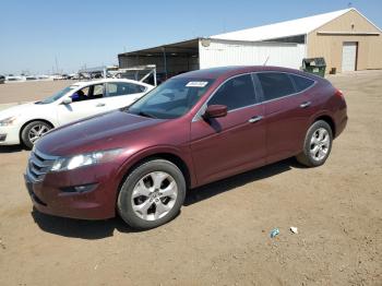  Salvage Honda Crosstour