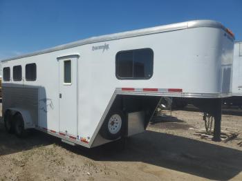  Salvage Merh Horsetrail
