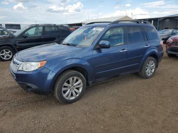  Salvage Subaru Forester