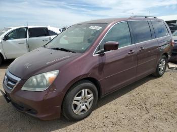  Salvage Honda Odyssey
