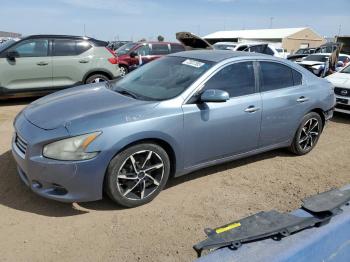  Salvage Nissan Maxima