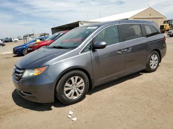  Salvage Honda Odyssey