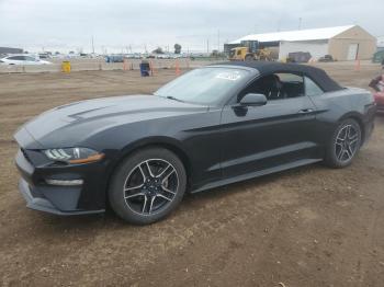  Salvage Ford Mustang