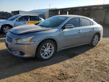  Salvage Nissan Maxima
