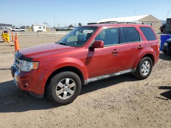  Salvage Ford Escape