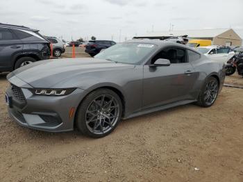  Salvage Ford Mustang