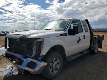  Salvage Ford F-250