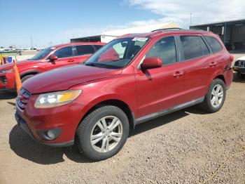  Salvage Hyundai SANTA FE