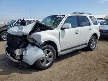  Salvage Ford Escape
