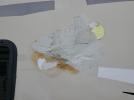 Keystone Cougar Image 3