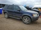 Ford Escape Xlt Image 4