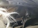 BMW 5 Series Xi Image 8