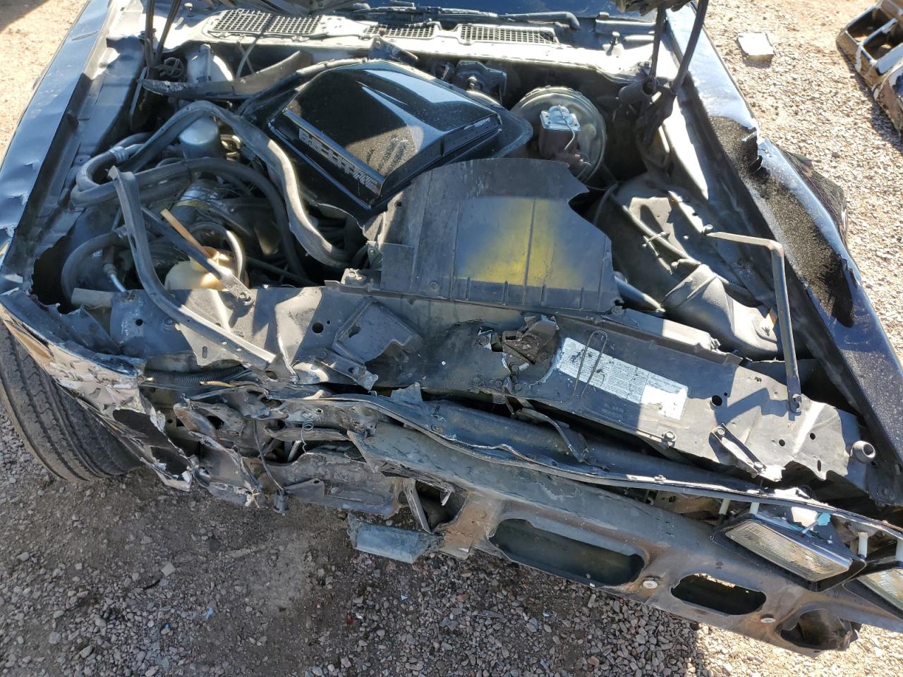 Pontiac Trans Am Image 11