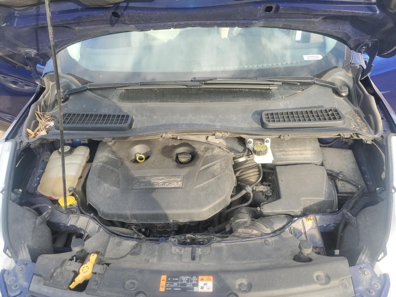 Ford Escape Sel Image 6