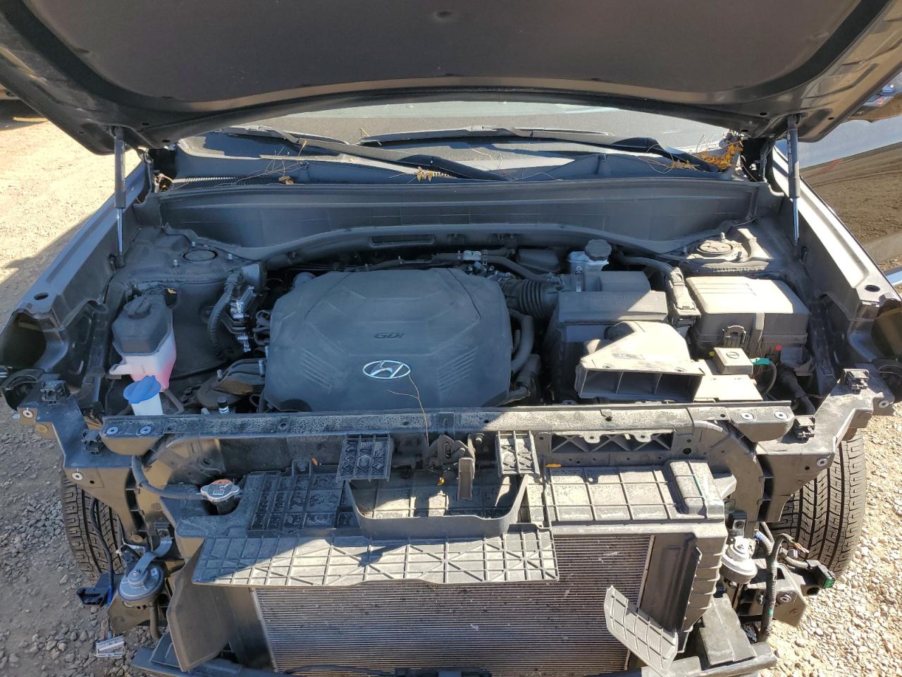 Hyundai PALISADE Calligraphy Image 8