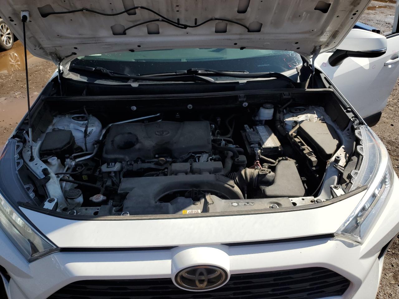 Toyota RAV4 Xle Image 11