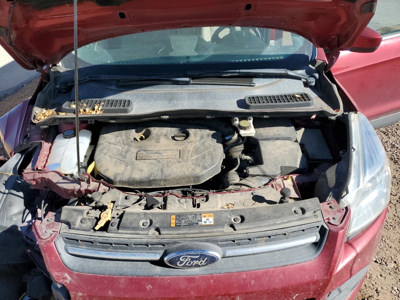 Ford Escape Se Image 10