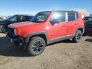 Jeep Renegade Trailhawk Image 1
