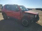 Jeep Renegade Trailhawk Image 9