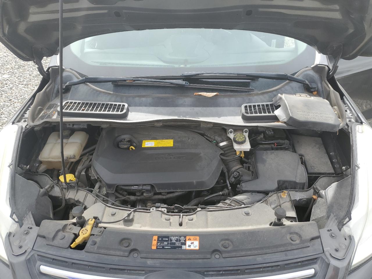 Ford Escape Se Image 7