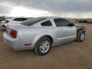 Ford Mustang Image 3