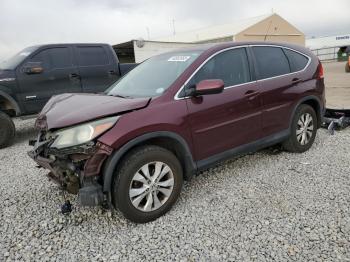  Salvage Honda Crv