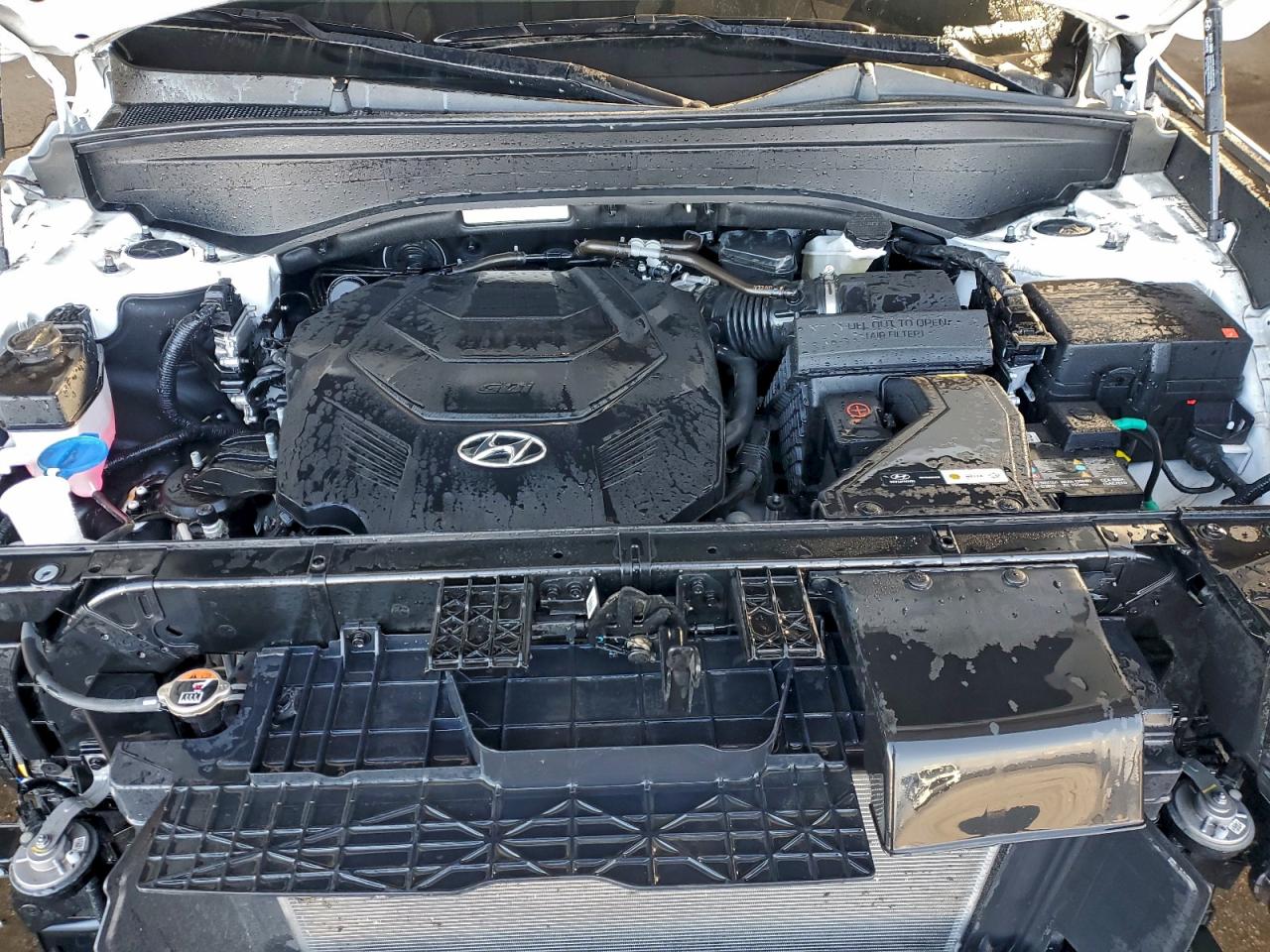 Hyundai PALISADE Sel Image 13