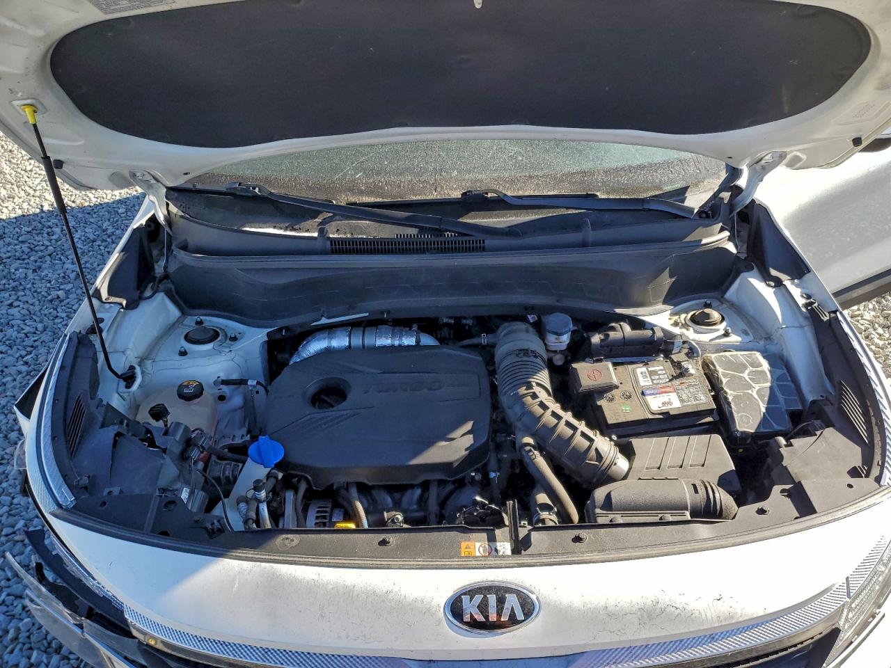 Kia Seltos S Image 8