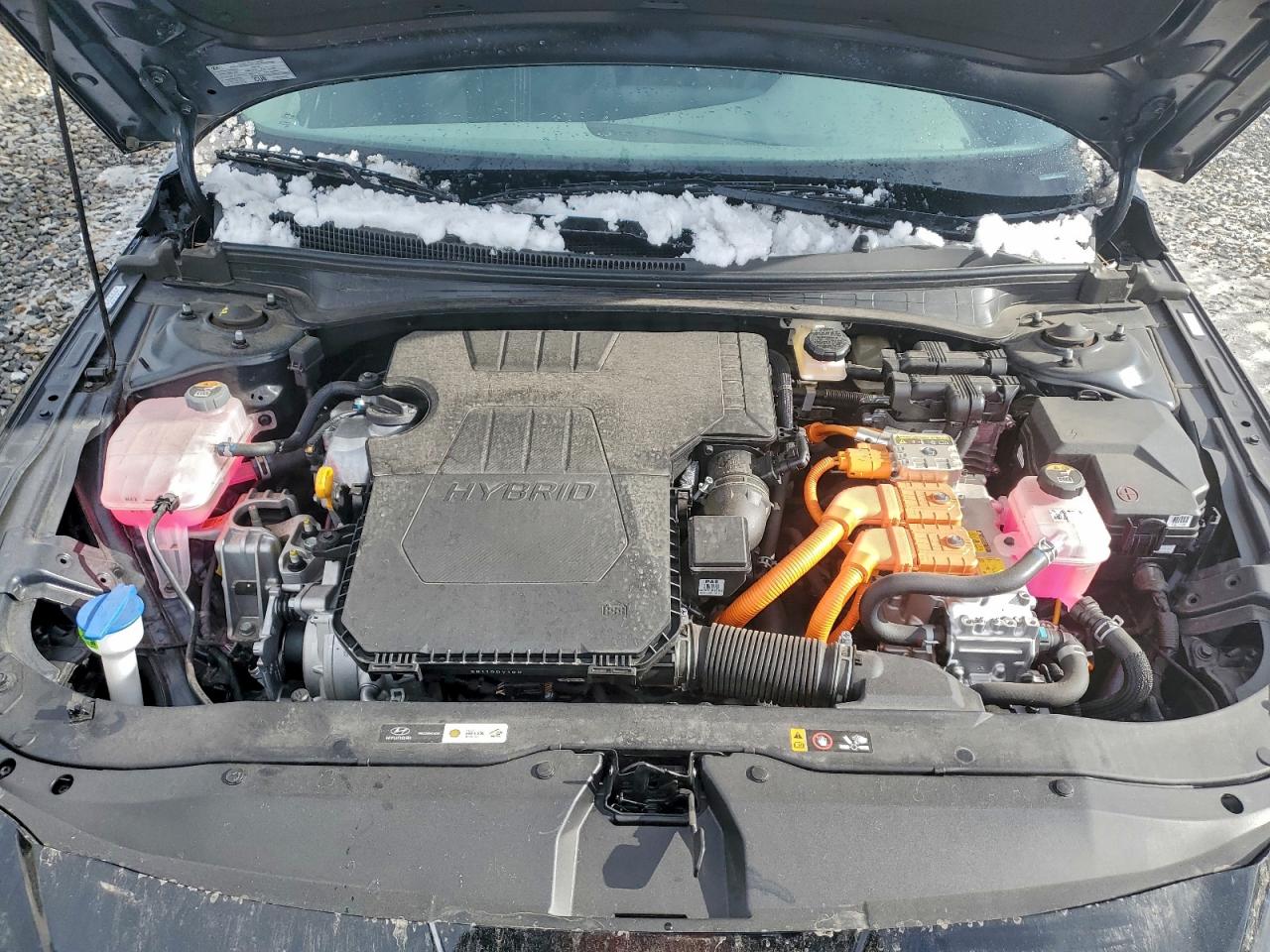 Hyundai ELANTRA Blue Image 3