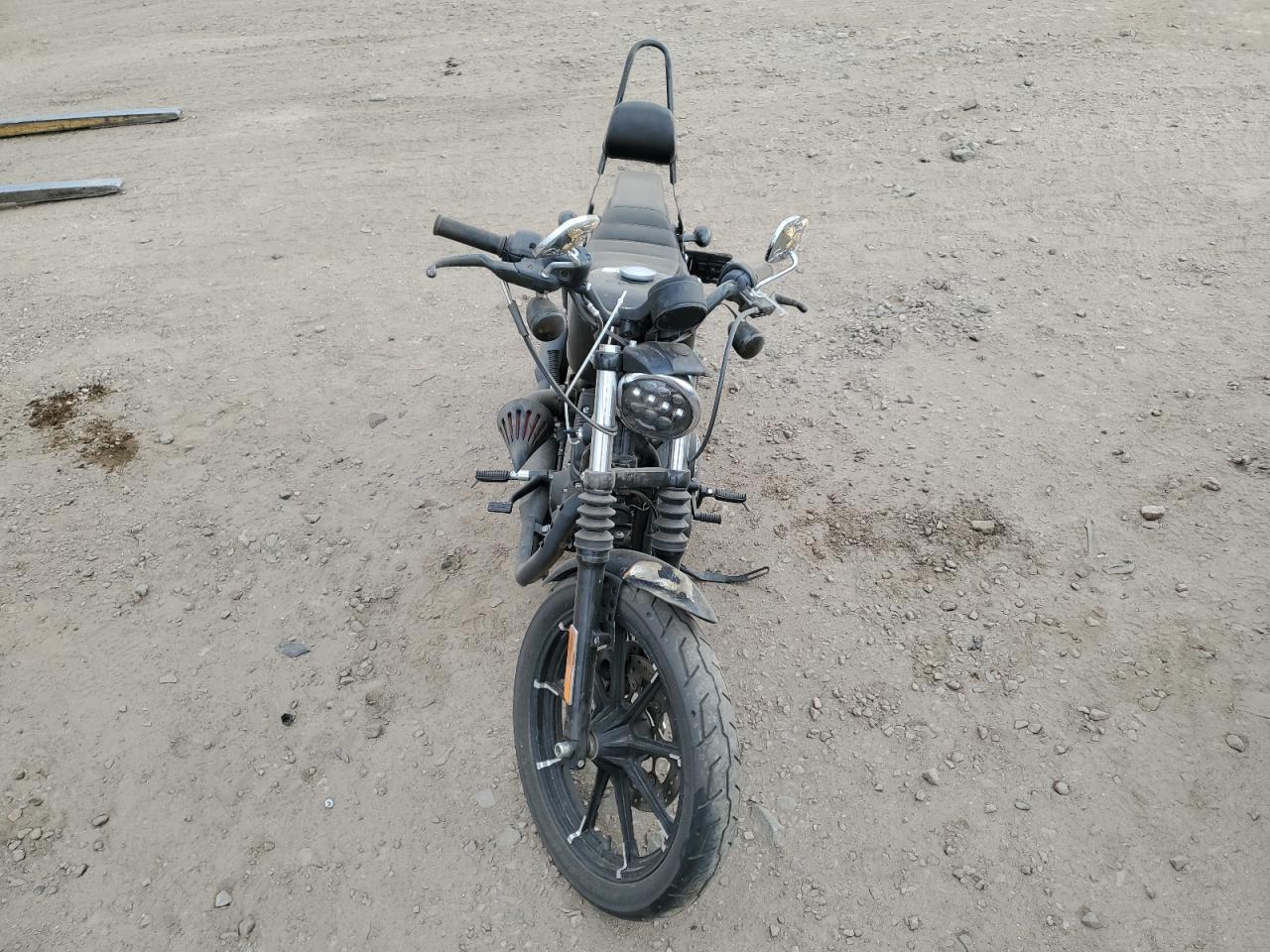 Harley-Davidson Xl883 N N Image 5