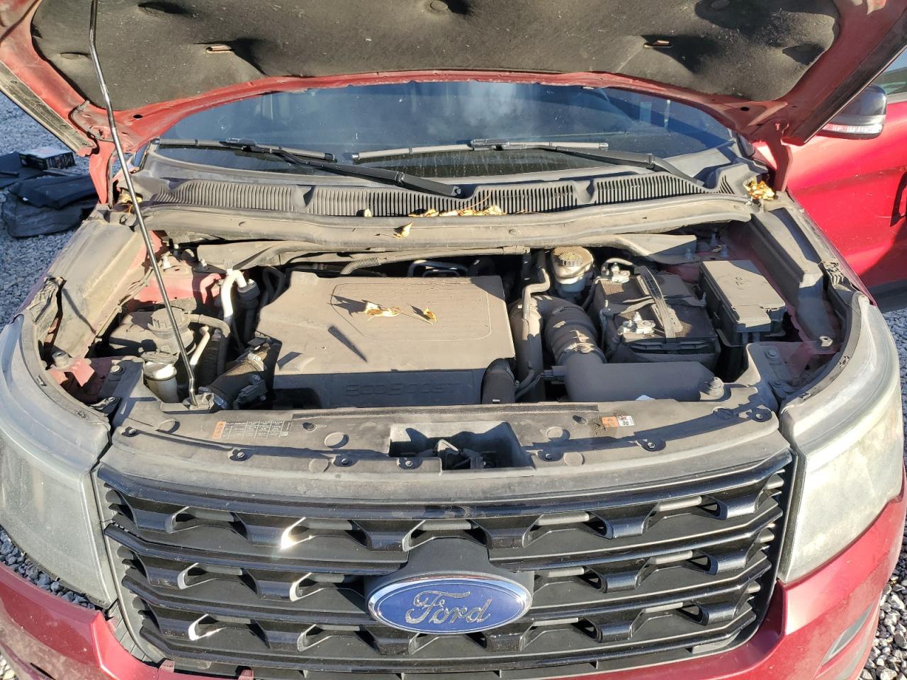 Ford Explorer Sport Image 8