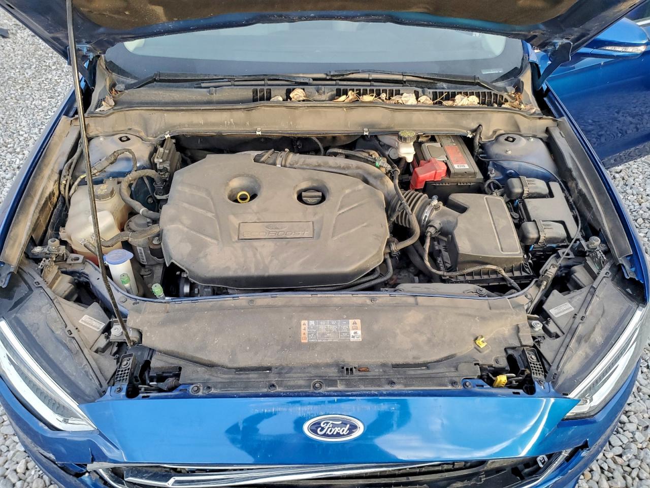 Ford Fusion Se Image 12