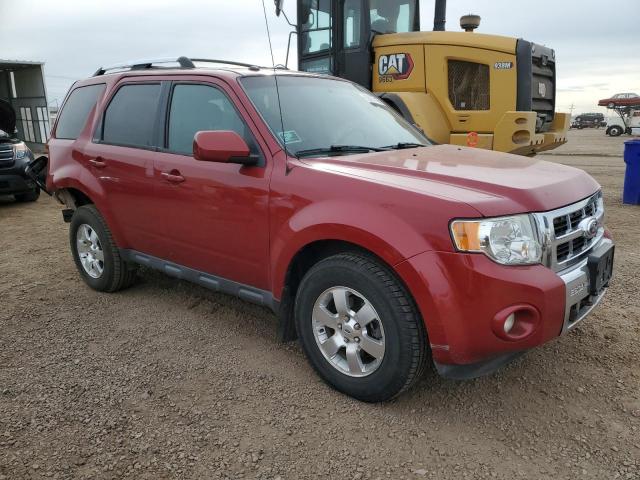 Ford Escape Limited Image 5