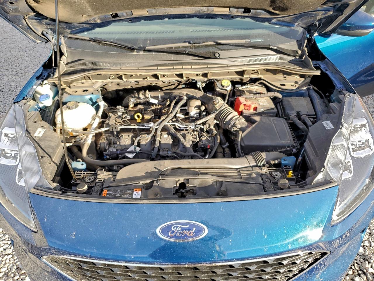 Ford Escape Titanium Image 6