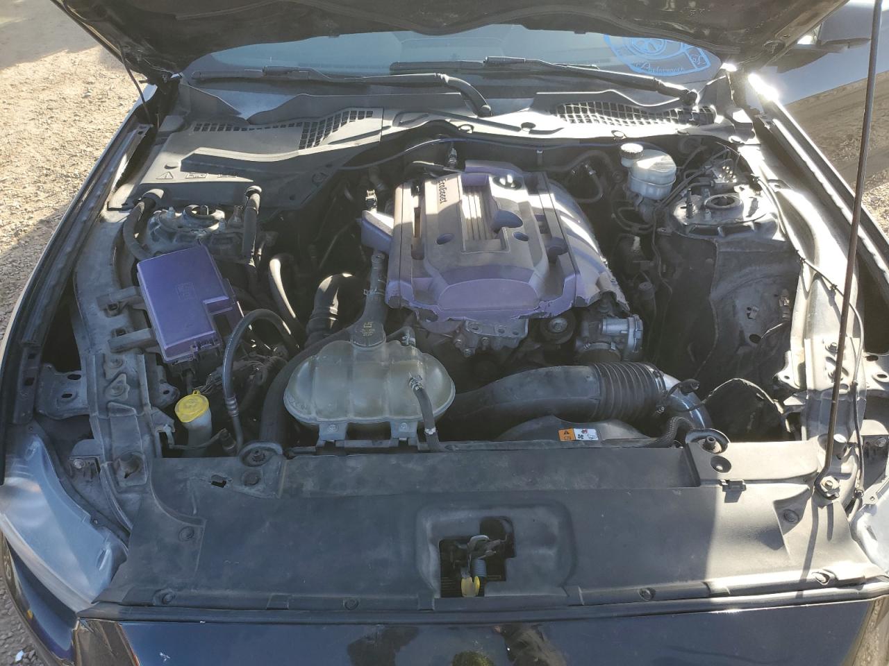 Ford Mustang Image 12