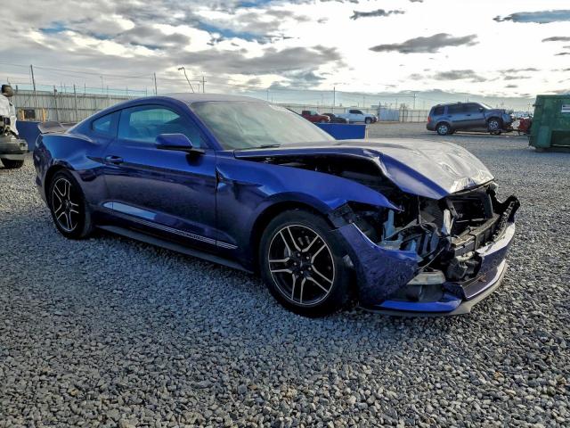 Ford Mustang Image 3