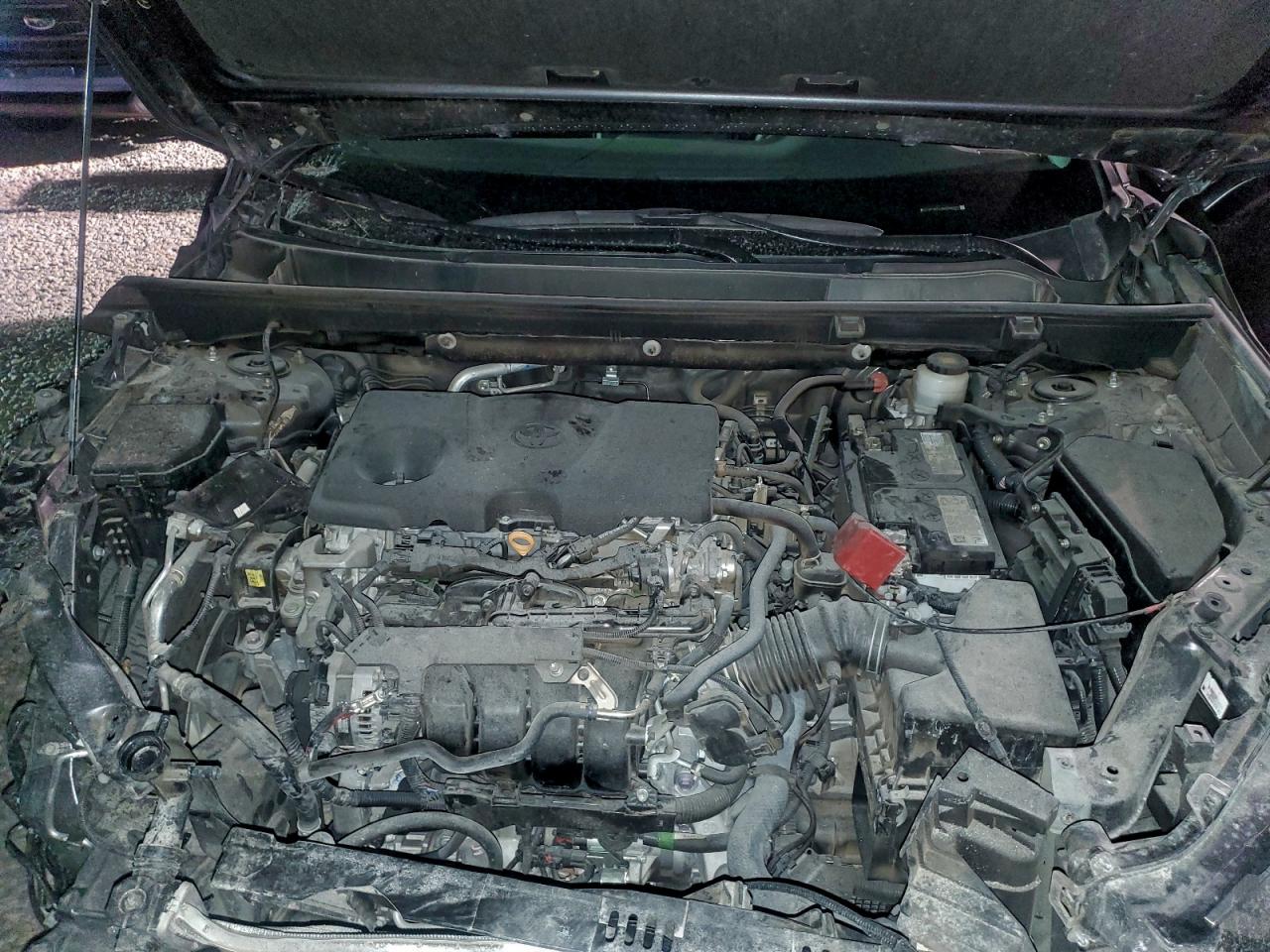 Toyota RAV4 Xle Image 7