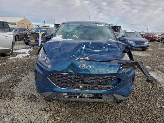 Ford Escape Se Image 7