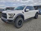 Ford F-150 Raptor Image 1