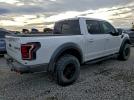 Ford F-150 Raptor Image 2
