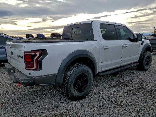 Ford F-150 Raptor Image 2