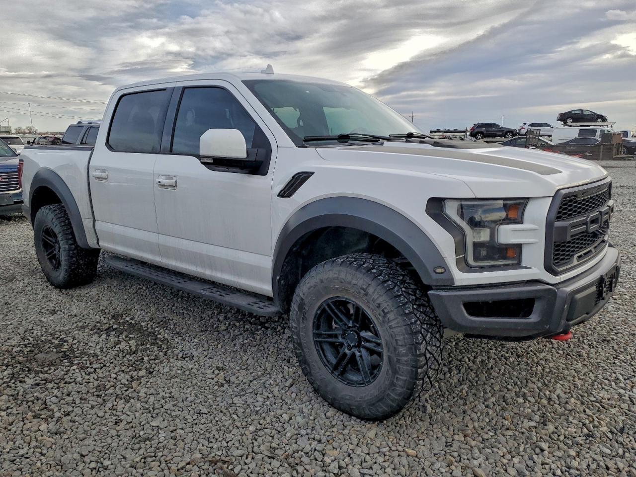 Ford F-150 Raptor Image 7