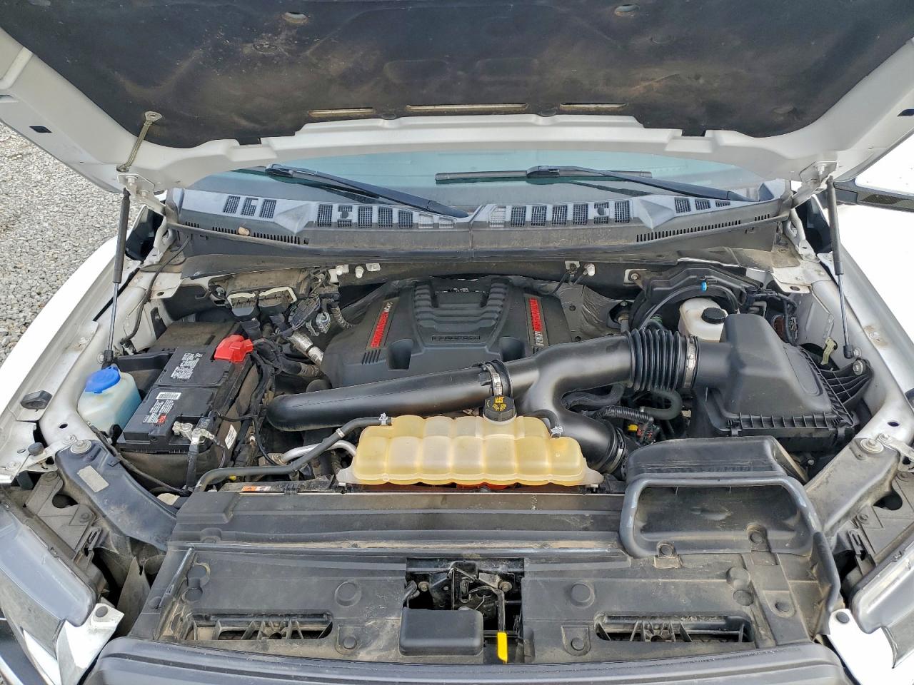 Ford F-150 Raptor Image 9