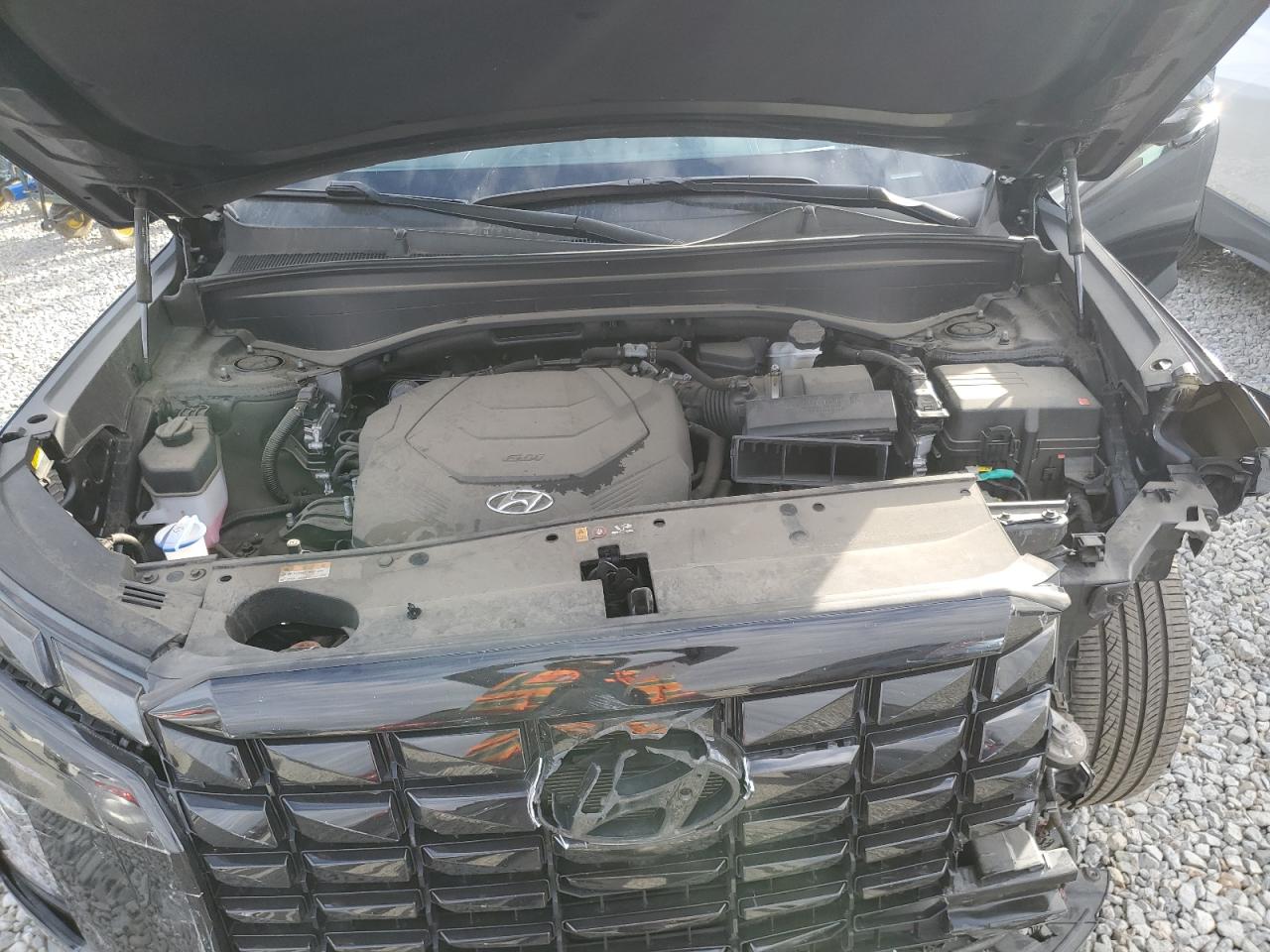 Hyundai PALISADE Calligraphy Image 6